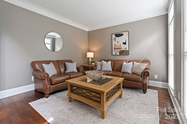9433 Wallace Pond Dr, Huntersville, NC 28078 - living room with crown molding, baseboards, and wood finished floors
