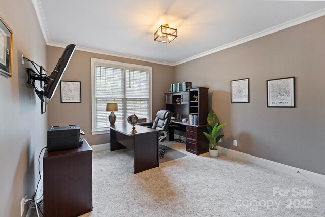 9433 Wallace Pond Dr, Huntersville, NC 28078 - home office featuring crown molding, carpet flooring, and baseboards