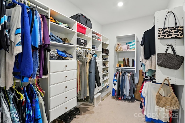 1825 Lotus Ln, Denver, NC 28037 - walk in closet with carpet