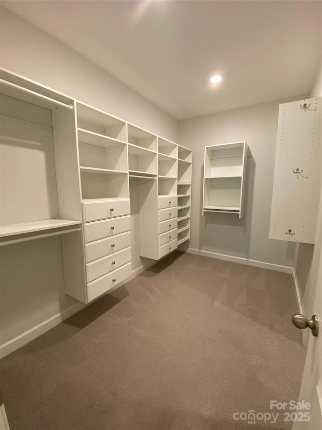 1825 Lotus Ln, Denver, NC 28037 - walk in closet with dark colored carpet
