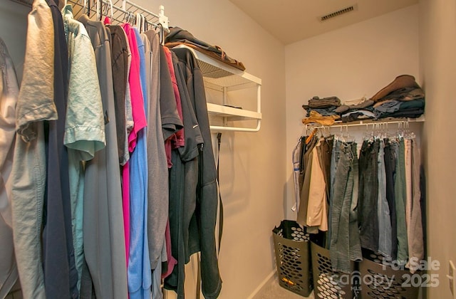 spacious closet with carpet flooring
