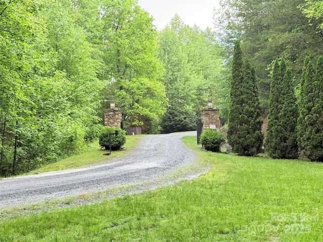 0000 Camp Cove Rd, Zirconia, NC 28790 - photo 1