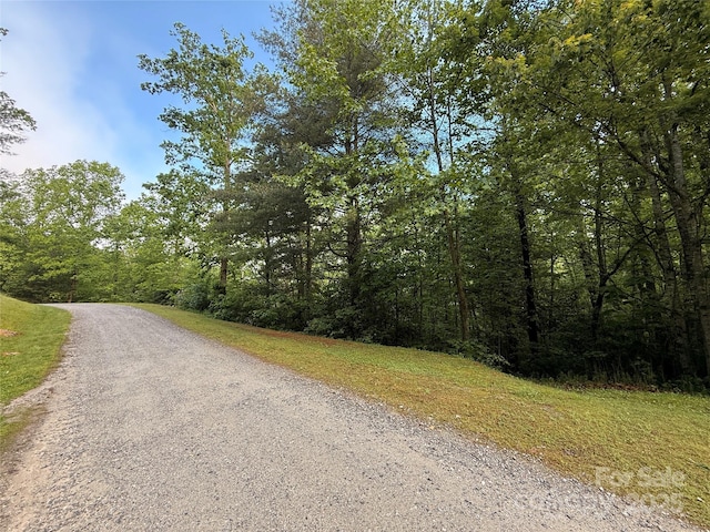 0000 Camp Cove Rd, Zirconia, NC 28790 - photo 3