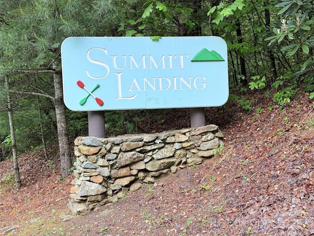 0000 Camp Cove Rd, Zirconia, NC 28790 - photo 4