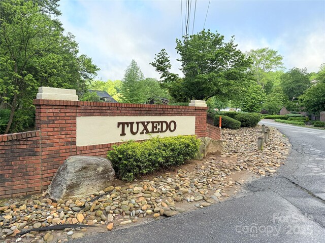 0000 Camp Cove Rd, Zirconia, NC 28790 - photo 6