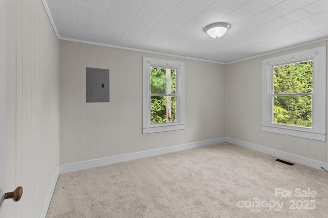 carpeted empty room with electric panel, crown molding, baseboards, and wooden walls