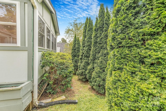 6 Craggy Cir, Asheville, NC 28803 - view of yard