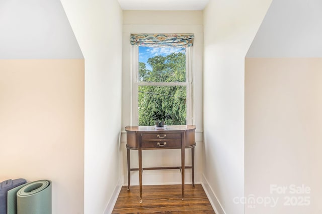6 Craggy Cir, Asheville, NC 28803 - hall featuring dark wood finished floors and baseboards