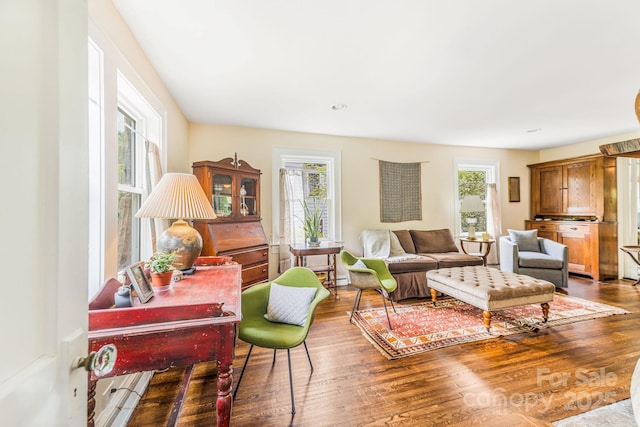 6 Craggy Cir, Asheville, NC 28803 - living area with wood finished floors