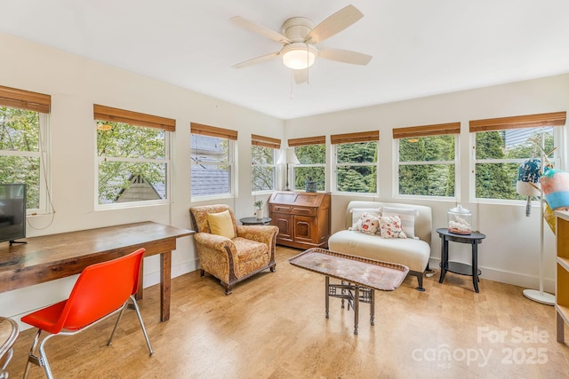 6 Craggy Cir, Asheville, NC 28803 - sunroom with plenty of natural light and wood finished floors