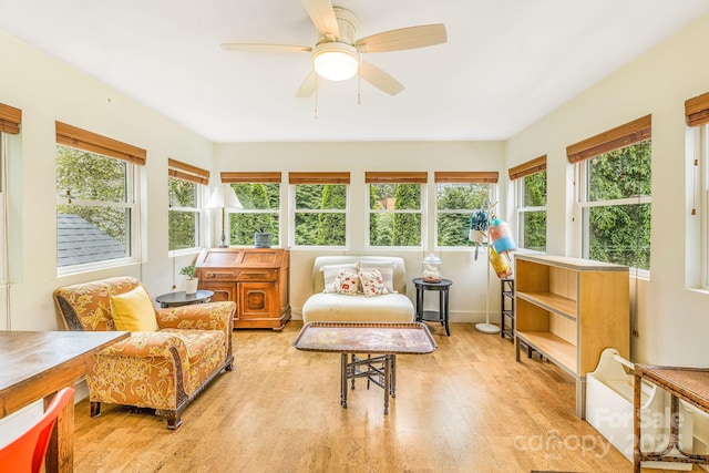 6 Craggy Cir, Asheville, NC 28803 - sunroom featuring plenty of natural light and wood finished floors
