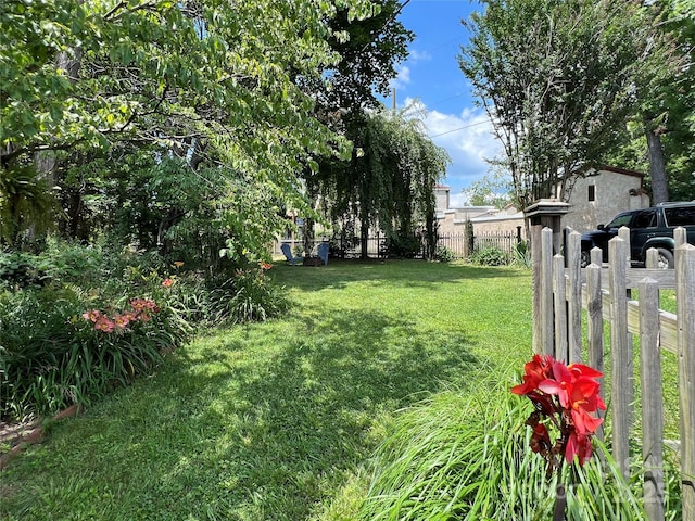 6 Craggy Cir, Asheville, NC 28803 - view of yard