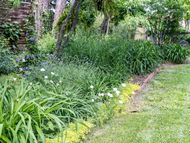 6 Craggy Cir, Asheville, NC 28803 - view of yard