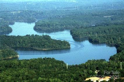1610 Ford St, Charlotte, NC 28216 - drone / aerial view of a forest and a nearby body of water