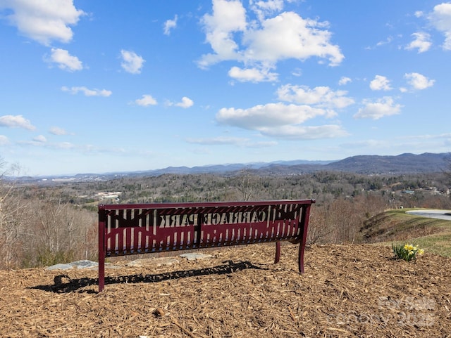5 Governors Dr, Hendersonville, NC 28791 - exterior space