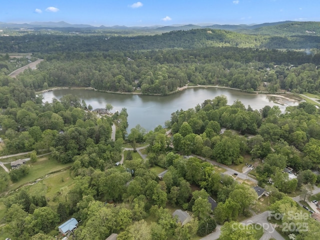 16 Lake Forest Ln, Hendersonville, NC 28739 - bird's eye view of a heavily wooded area and a nearby body of water
