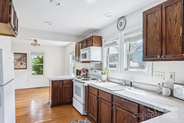142 Substation Rd, Canton, NC 28716 - photo 12