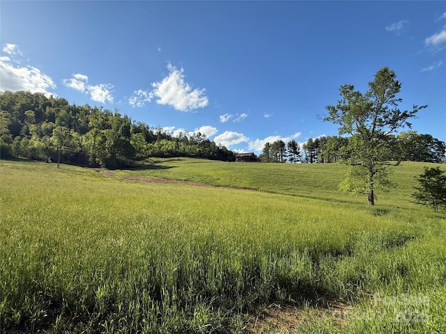 99999 Bakers Creek Rd, Burnsville, NC 28714
