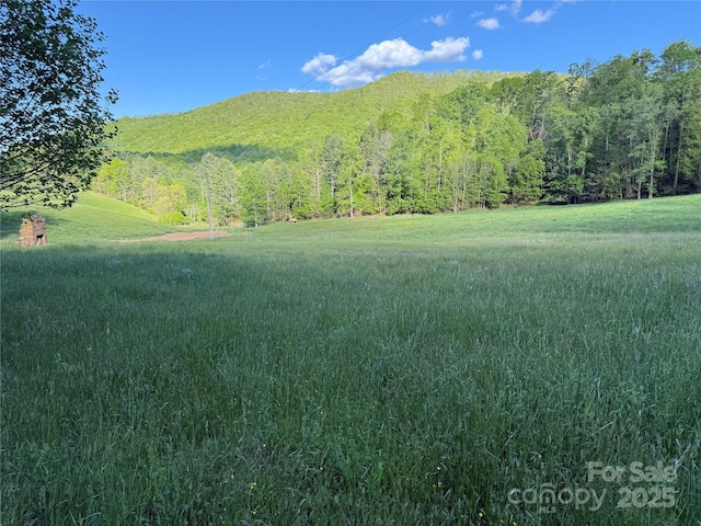99999 Bakers Creek Rd, Burnsville, NC 28714