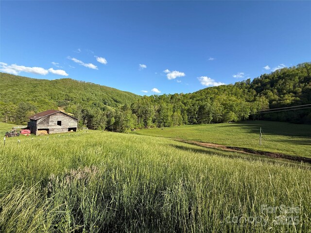 99999 Bakers Creek Rd, Burnsville, NC 28714