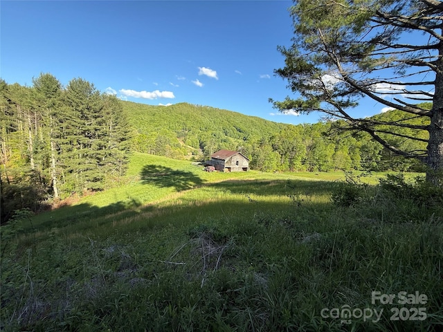 99999 Bakers Creek Rd, Burnsville, NC 28714