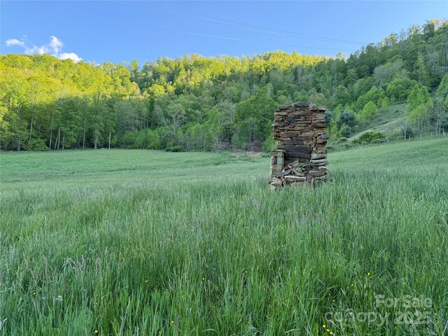 99999 Bakers Creek Rd, Burnsville, NC 28714