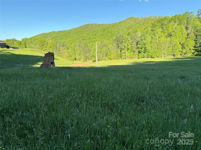 99999 Bakers Creek Rd, Burnsville, NC 28714