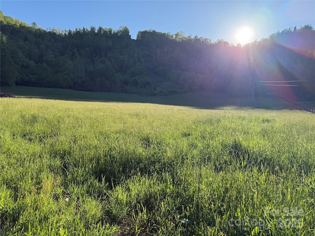 99999 Bakers Creek Rd, Burnsville, NC 28714