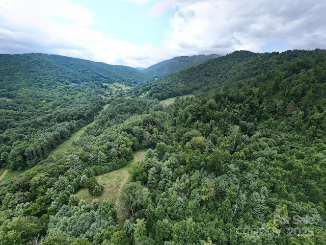 99999 Bakers Creek Rd, Burnsville, NC 28714