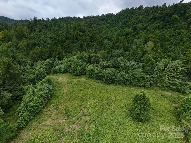 99999 Bakers Creek Rd, Burnsville, NC 28714