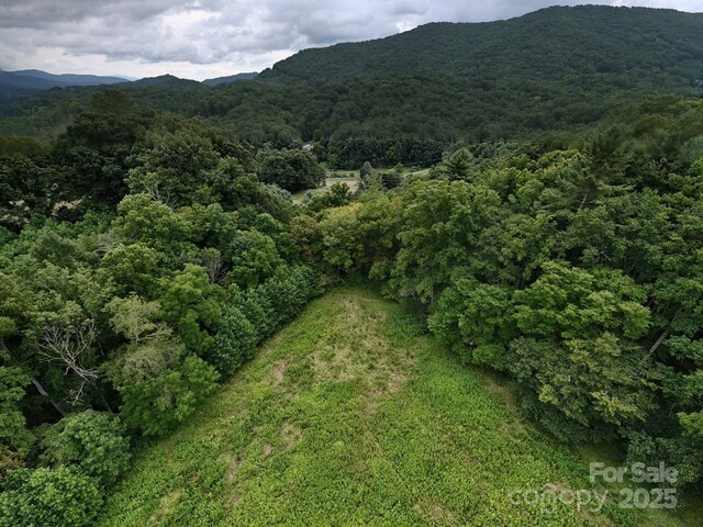 99999 Bakers Creek Rd, Burnsville, NC 28714