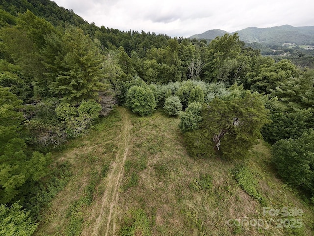 99999 Bakers Creek Rd, Burnsville, NC 28714