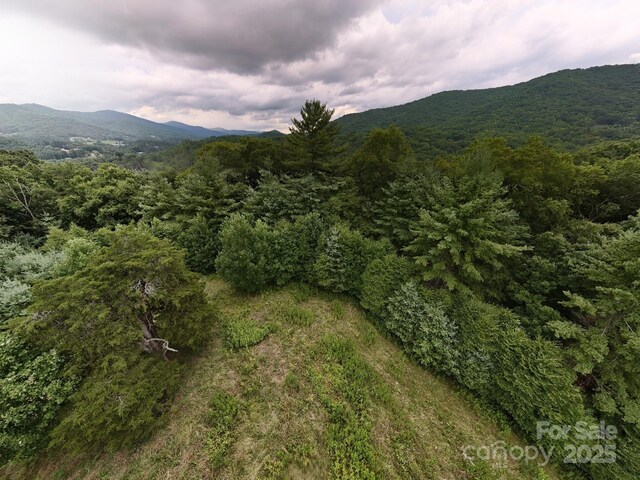 99999 Bakers Creek Rd, Burnsville, NC 28714