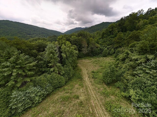 99999 Bakers Creek Rd, Burnsville, NC 28714
