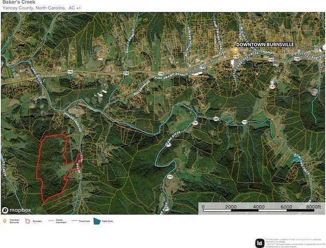 99999 Bakers Creek Rd, Burnsville, NC 28714