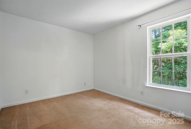 8744 Barrister Way, Charlotte, NC 28216 - empty room featuring light colored carpet, baseboards, and plenty of natural light
