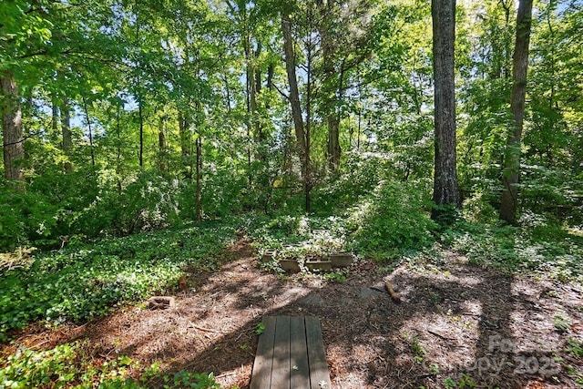 8744 Barrister Way, Charlotte, NC 28216 - view of undeveloped land