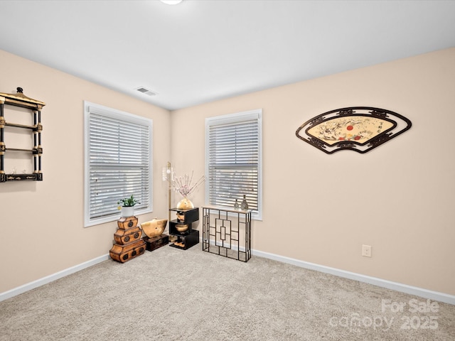 miscellaneous room with carpet floors, baseboards, and plenty of natural light