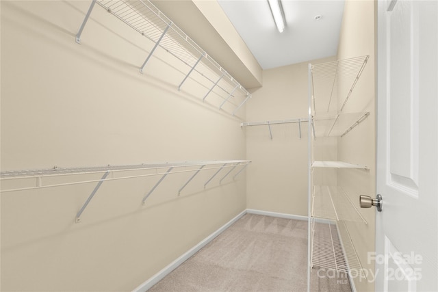 14853 Santa Lucia Dr, Charlotte, NC 28277 - walk in closet with carpet flooring