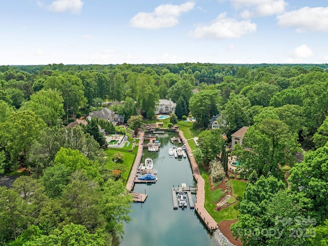 21404 Blakely Shores Dr, Cornelius, NC 28031 - bird's eye view of a large body of water, a heavily wooded area, and a marina