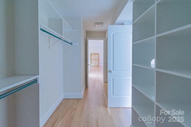 416 E Park Ave, Charlotte, NC 28203 - walk in closet featuring light wood finished floors