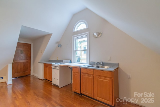 416 E Park Ave, Charlotte, NC 28203 - kitchen with white stove, lofted ceiling, light wood finished floors, and light countertops
