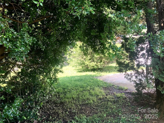 447 17th St, Cramerton, NC 28032 - view of green lawn