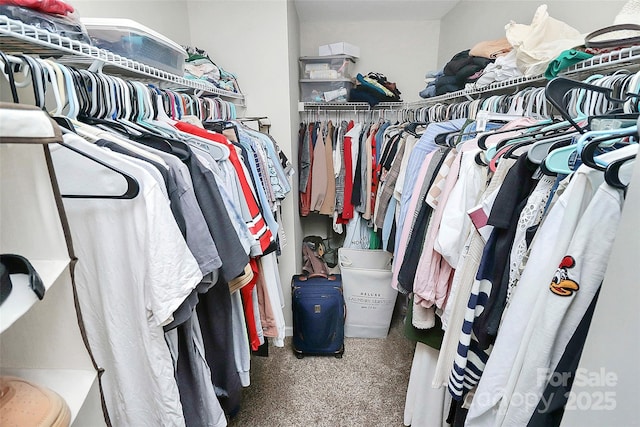 8916 Inverness Bay Rd, Charlotte, NC 28278 - spacious closet with carpet floors