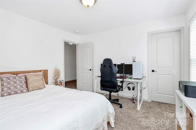 8916 Inverness Bay Rd, Charlotte, NC 28278 - view of carpeted bedroom