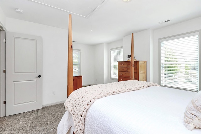 8916 Inverness Bay Rd, Charlotte, NC 28278 - bedroom featuring attic access, carpet, and baseboards