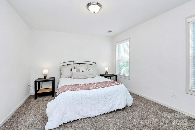 8916 Inverness Bay Rd, Charlotte, NC 28278 - bedroom featuring carpet floors and baseboards