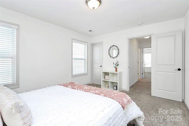 8916 Inverness Bay Rd, Charlotte, NC 28278 - bedroom featuring multiple windows, light colored carpet, and baseboards
