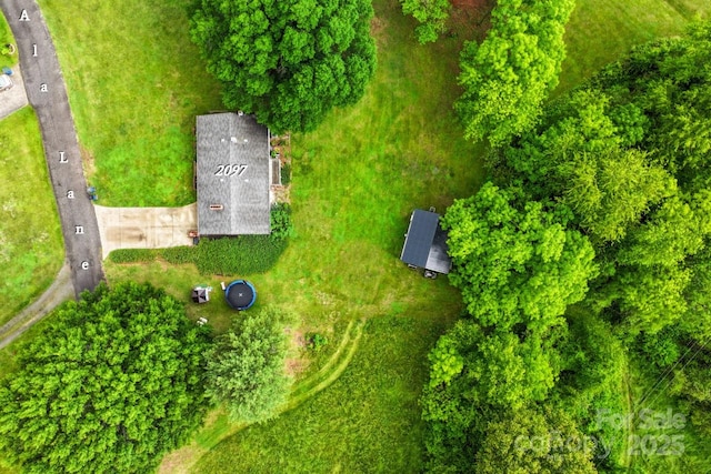 drone / aerial view