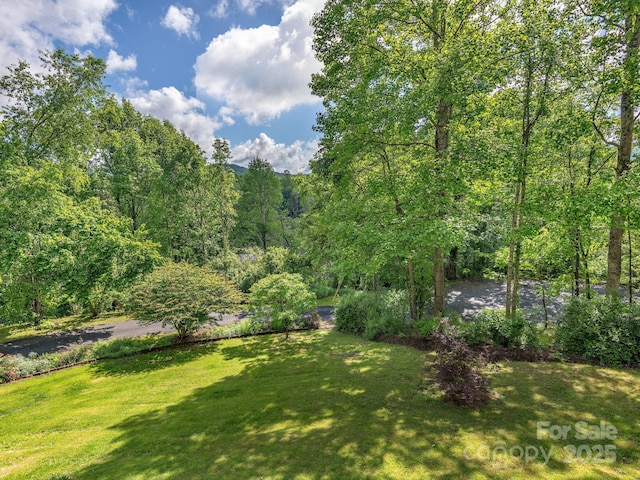 26 Morrow Dr, Fairview, NC 28730 - view of green lawn featuring a forest view